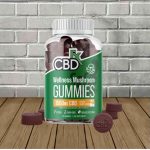 CBDfx Wellness Mushroom Gummies 1500mg
