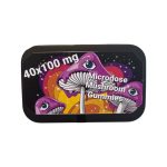 Microdose Mushroom Gummies (4g)
