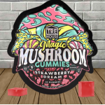 TRE-House-Magic-Mushroom-Gummies-15ct.png