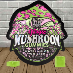 TRE-House-Magic-Mushroom-Gummies-15ct.png