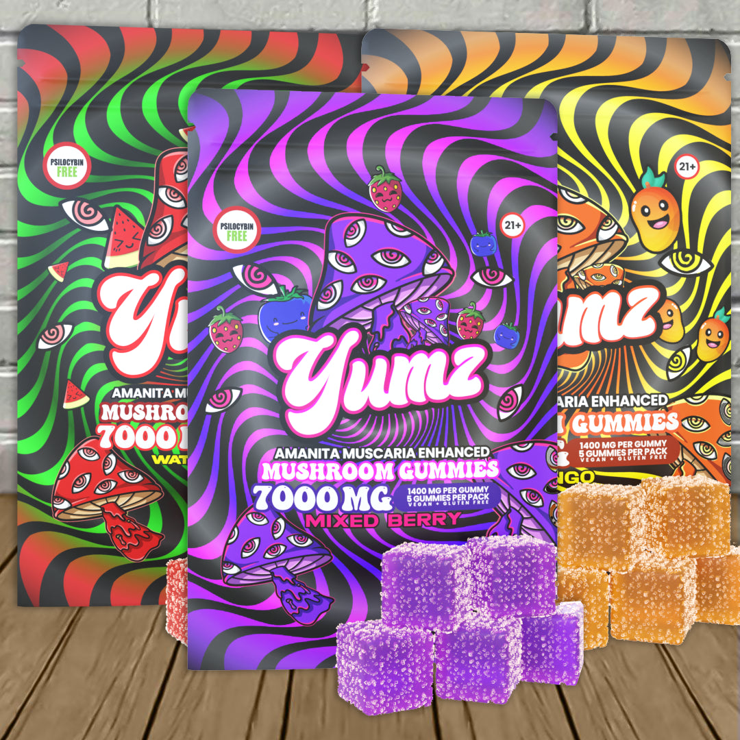 yumz-all.jpg