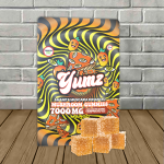 yumz-all.jpg