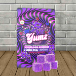 yumz-all.jpg