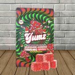 yumz-all.jpg